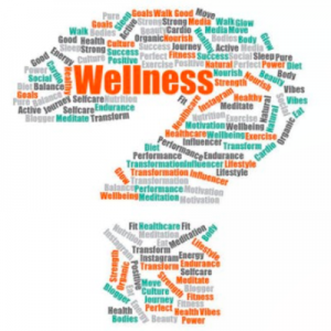 PAST: Wellness: What’s The Evidence? by Kimberley Wilson CPsychol